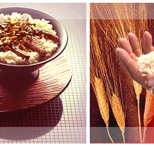 rice-and-spices.jpg